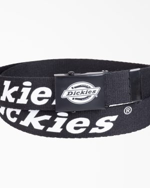 Logo Web Belt